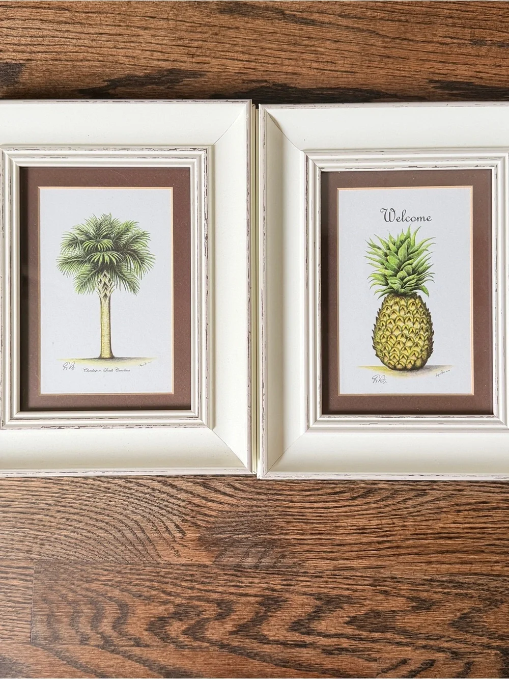 Charleston Pineapple Palm Wall Art Prints Signed George Roberts 2009 Coastal